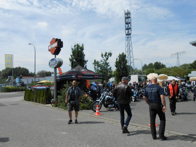 Harley on Tour 14.jpg -           