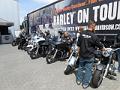 Harley on Tour 12