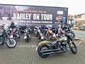 Harley on Tour 2